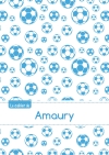 Le cahier d'Amaury : Petits...