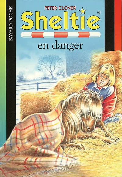 Sheltie en danger.