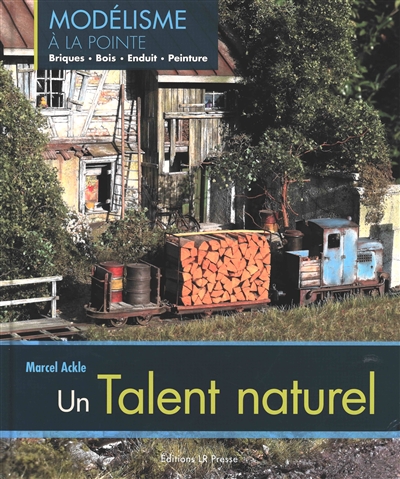 Un talent naturel : modélisme à la pointe : briques, bois, enduit, peinture