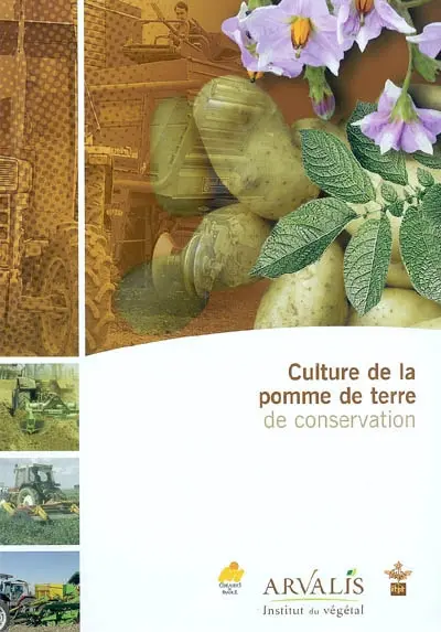 Culture de la pomme de terre de conservation