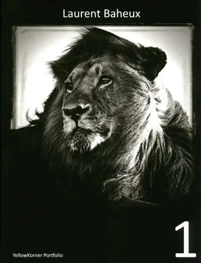 Portfolio Yellowkorner. Vol. 1