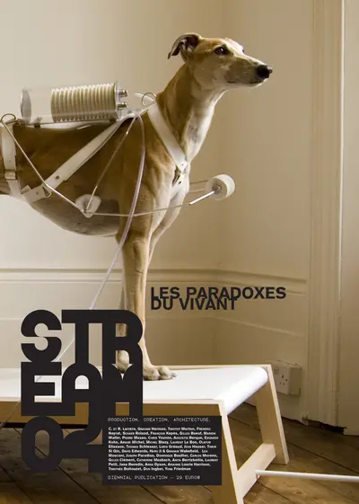 Stream : production, création, architecture, n° 4. Les paradoxes du vivant. The paradoxes of the livings
