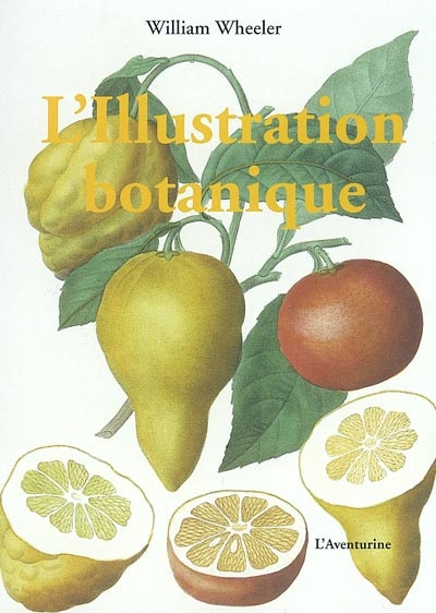 L'illustration botanique