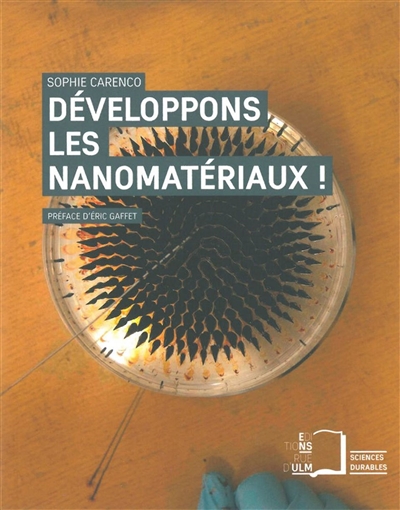 Développons les nanomatériaux ! : fabrication, opportunités et gestion du risque