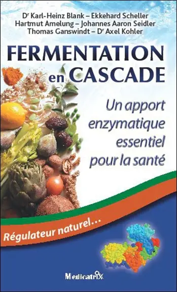 Fermentation en cascade : un apport enzymatique essentiel pour la santé