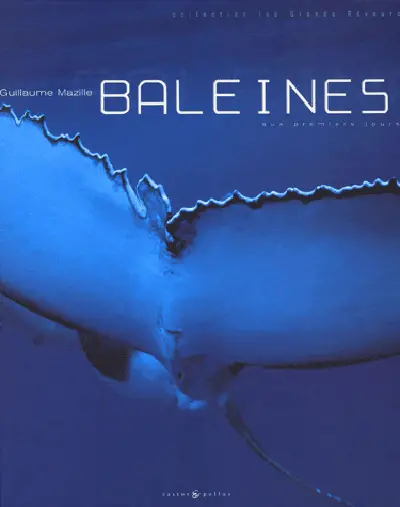 Baleines : aux premiers jours