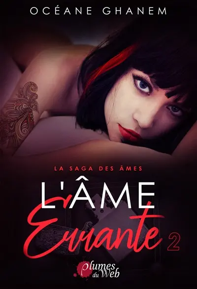 La saga des âmes. Vol. 4. L'âme errante. Vol. 2