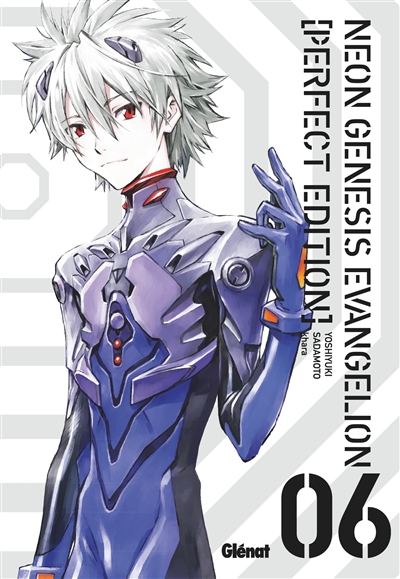 Neon-Genesis Evangelion : perfect edition. Vol. 6