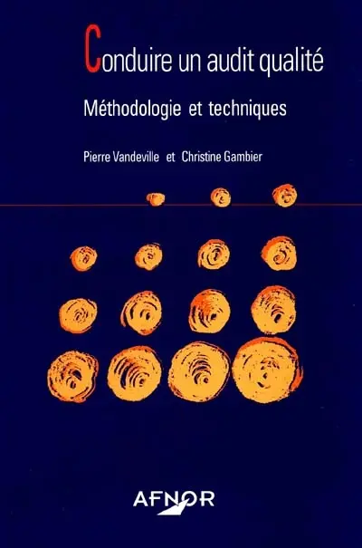 Conduire un audit qualité : méthodologie et techniques