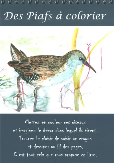 Des piafs à colorier Des piafs à colorier
