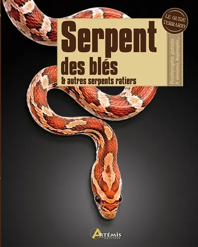 Serpent des blés & autres serpents ratiers : Pantherophis guttata, P. obsoletus, Bogertophis...