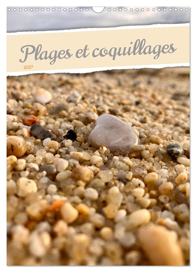 Plages et coquillages...