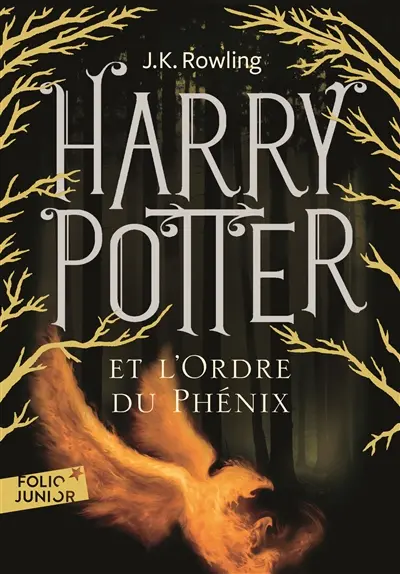 Harry Potter. Vol. 5. Harry Potter et l'ordre du Phénix