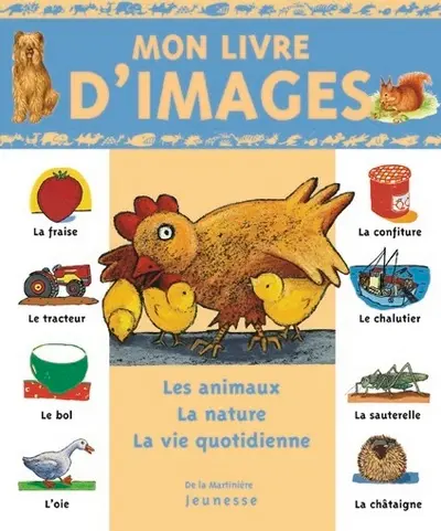 Mon livre d'images : les animaux, la nature, la vie quotidienne