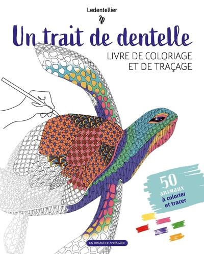 Un trait de dentelle :...