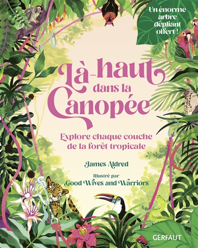 Là-haut dans la canopée : explore chaque couche de la forêt tropicale