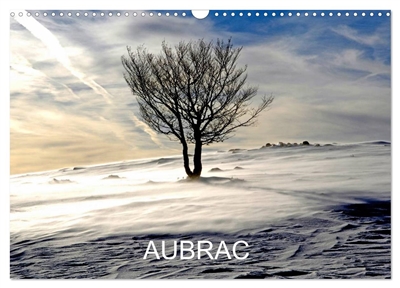 AUBRAC (Calendrier mural...