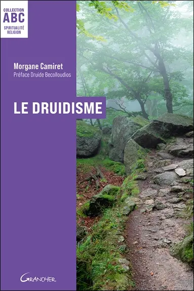 Le druidisme : origines, philosophie et pratiques d'une tradition antique