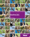 Rapaces : un guide + un...