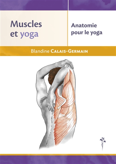 Muscles et yoga : anatomie pour le yoga