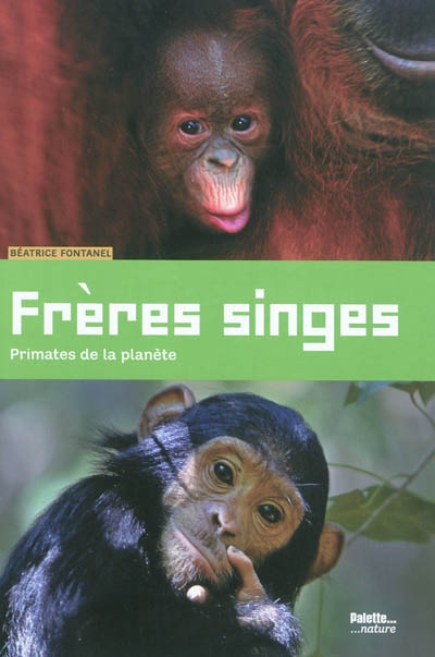 Frères singes : primates de la planète