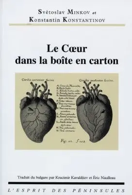 Le coeur dans la boîte en carton : roman grotesque en sept aventures incroyables