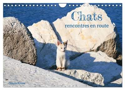 Chats : rencontres en route...