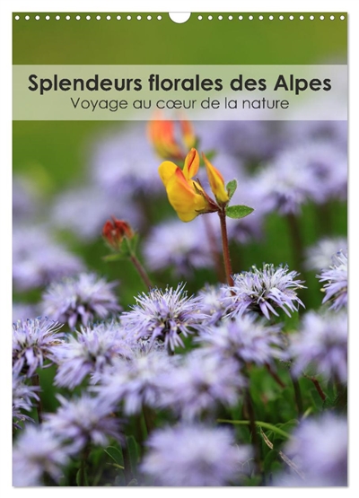 Splendeurs florales des...