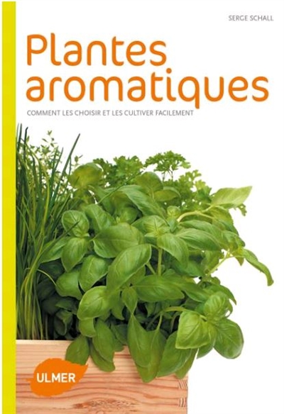 Plantes aromatiques : comment les choisir et les cultiver facilement