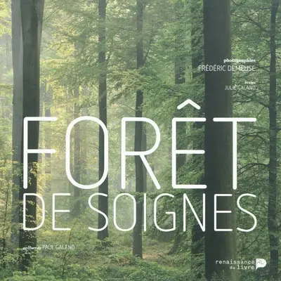 Forêt de Soignes