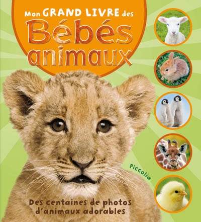 Mon grand livre des bébés animaux