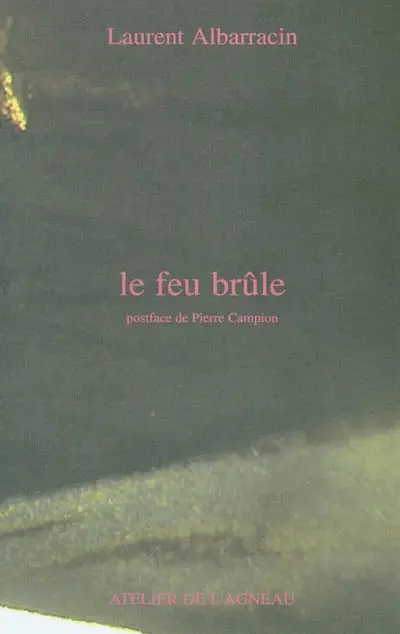 Le feu brûle
