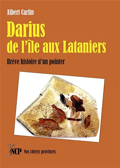 Darius de l’île aux Lataniers : Brève histoire d’un pointer