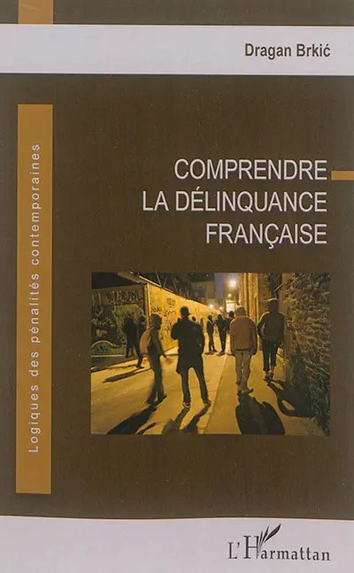 Comprendre la délinquance française