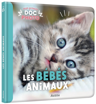 les bébés animaux