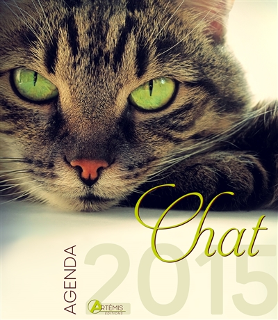 Chat : agenda 2015