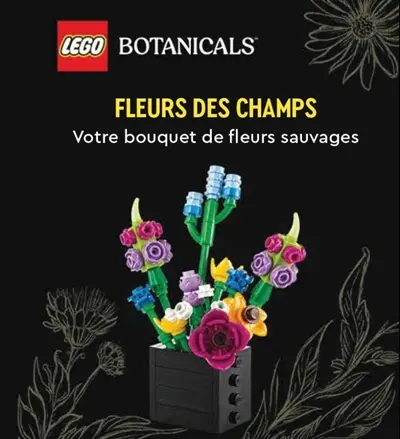 Fleurs des champs : votre bouquet de fleurs sauvages