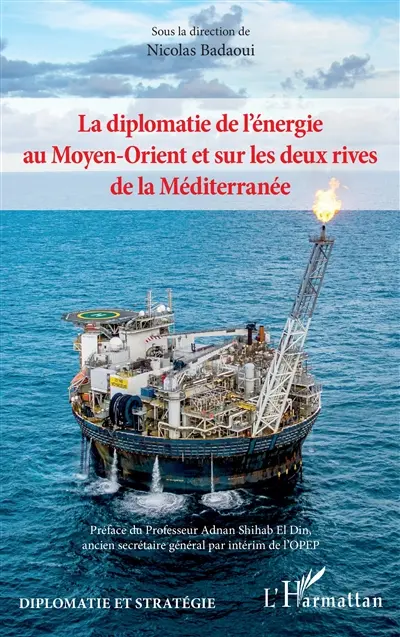 La diplomatie de l'énergie au Moyen-Orient et sur les deux rives de la Méditerranée
