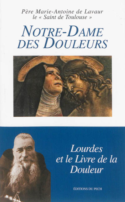 Notre-Dame des douleurs : Lourdes et le livre de la douleur