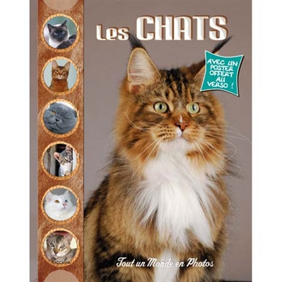 LES CHATS