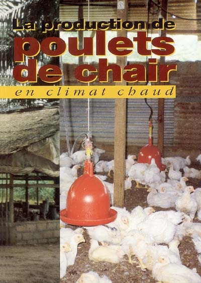 La production de poulets de chair en climat chaud