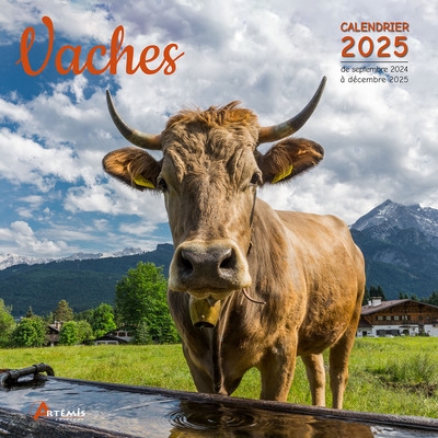 Vaches : calendrier 2025 :...