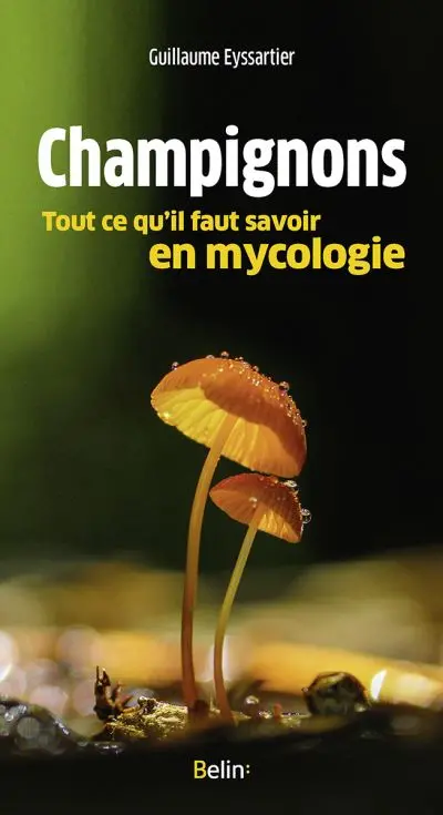 Champignons : tout ce qu'il faut savoir en mycologie Champignons : tout ce qu'il faut savoir en mycologie