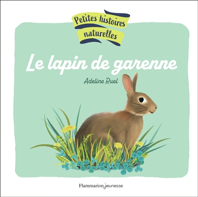 Le lapin de garenne
