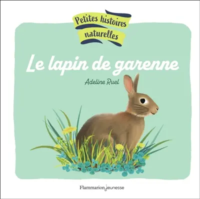 Le lapin de garenne