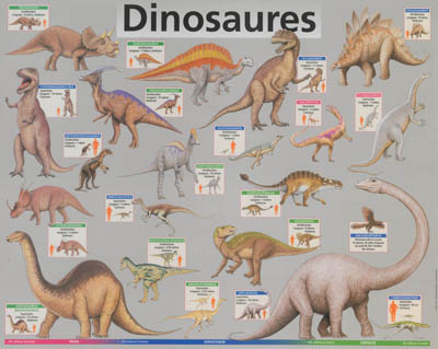 Dinosaures