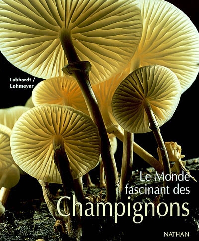 Le monde fascinant des champignons