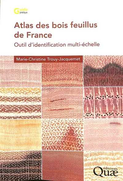 Atlas des bois feuillus de France : outil d'identification multi-échelle