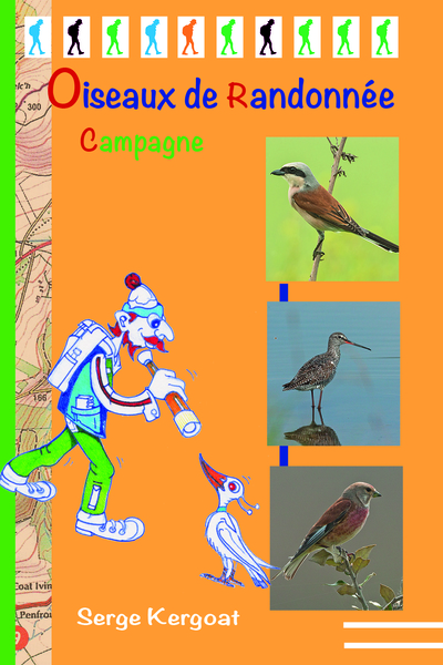 Oiseaux de randonnée : campagne