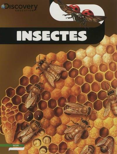 Insectes